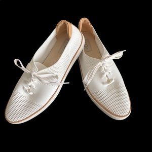 UGG SNEAKERS IVORY TIE UP